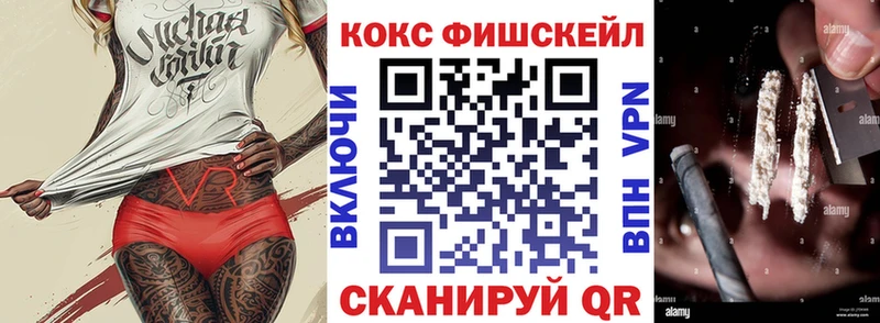 Cocaine Эквадор  omg ТОР  Лодейное Поле 