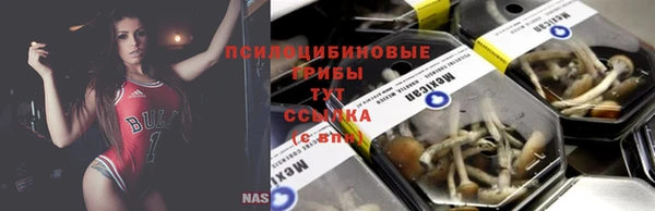 МДПВ Магадан
