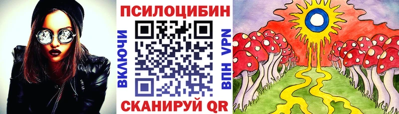Псилоцибиновые грибы Psilocybe  площадка формула  Лодейное Поле  сколько стоит 